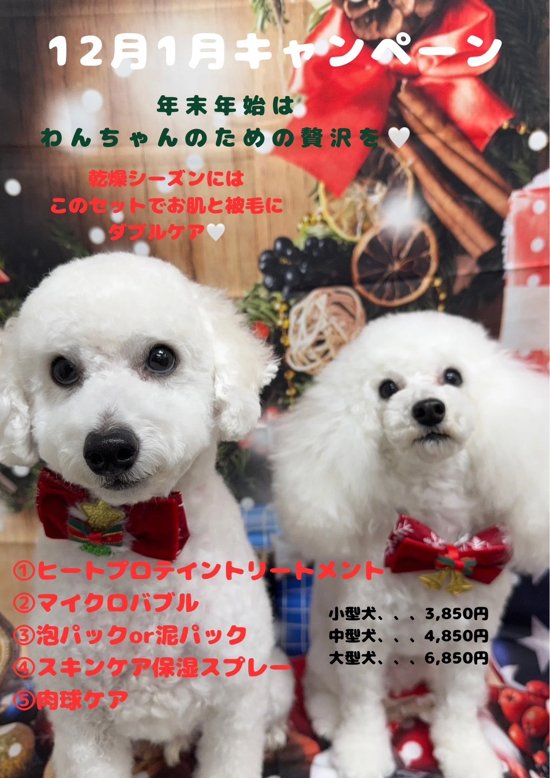 キャンペーン画像